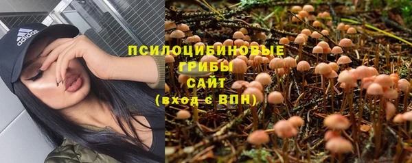 прущие крисы Алексеевка