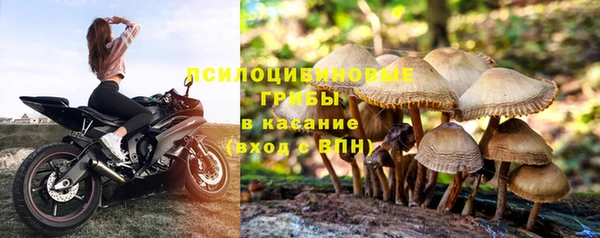 прущие крисы Алексеевка