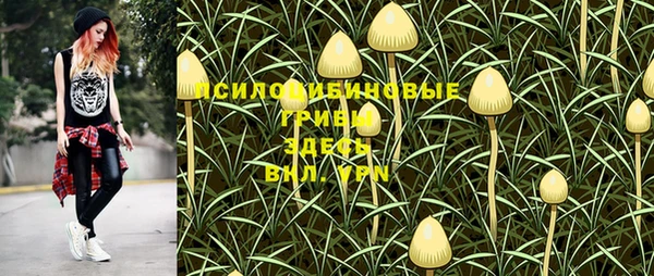 MESCALINE Алзамай