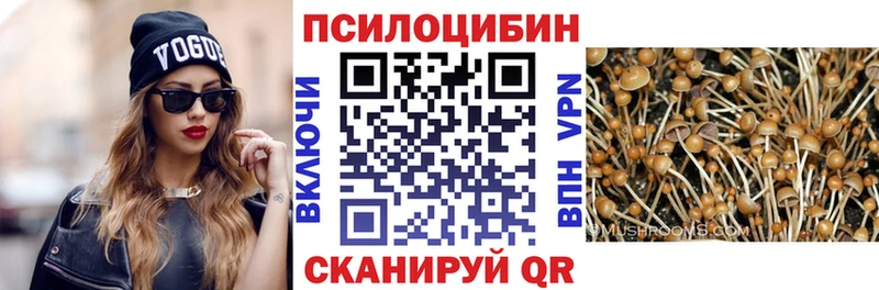 Галлюциногенные грибы MAGIC MUSHROOMS  MEGA как зайти  Муравленко  где купить  