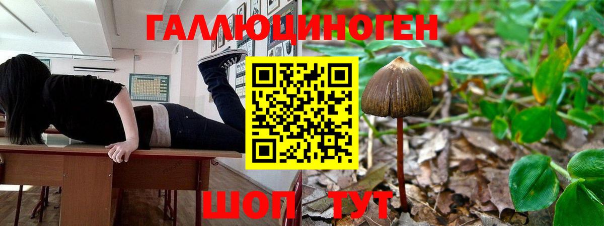 Псилоцибиновые грибы GOLDEN TEACHER Муравленко